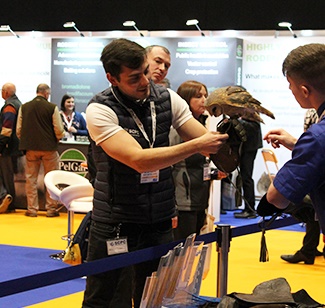 Owl at PestTech Owl at PestTech